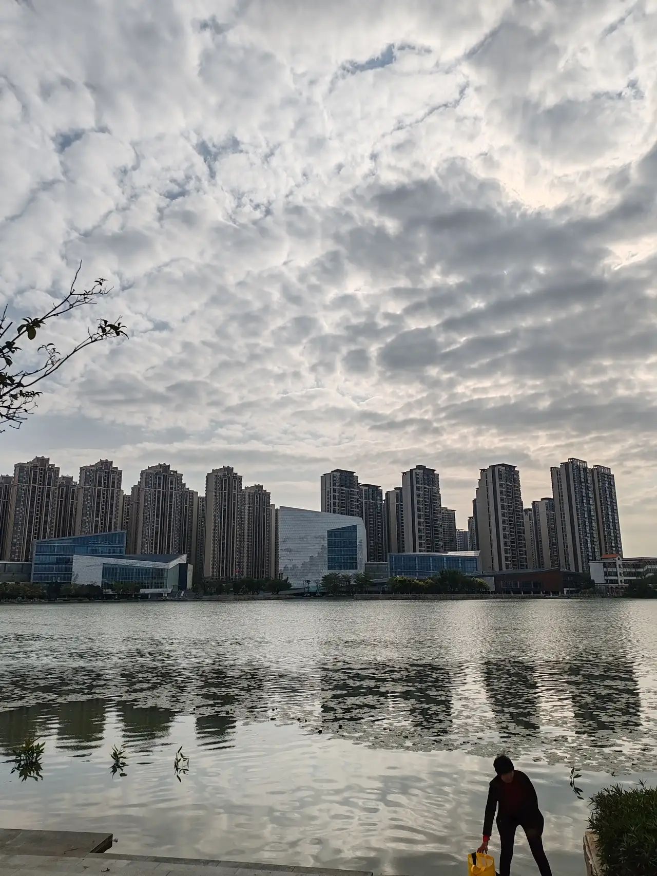 三水荷花世界旅行图片 2