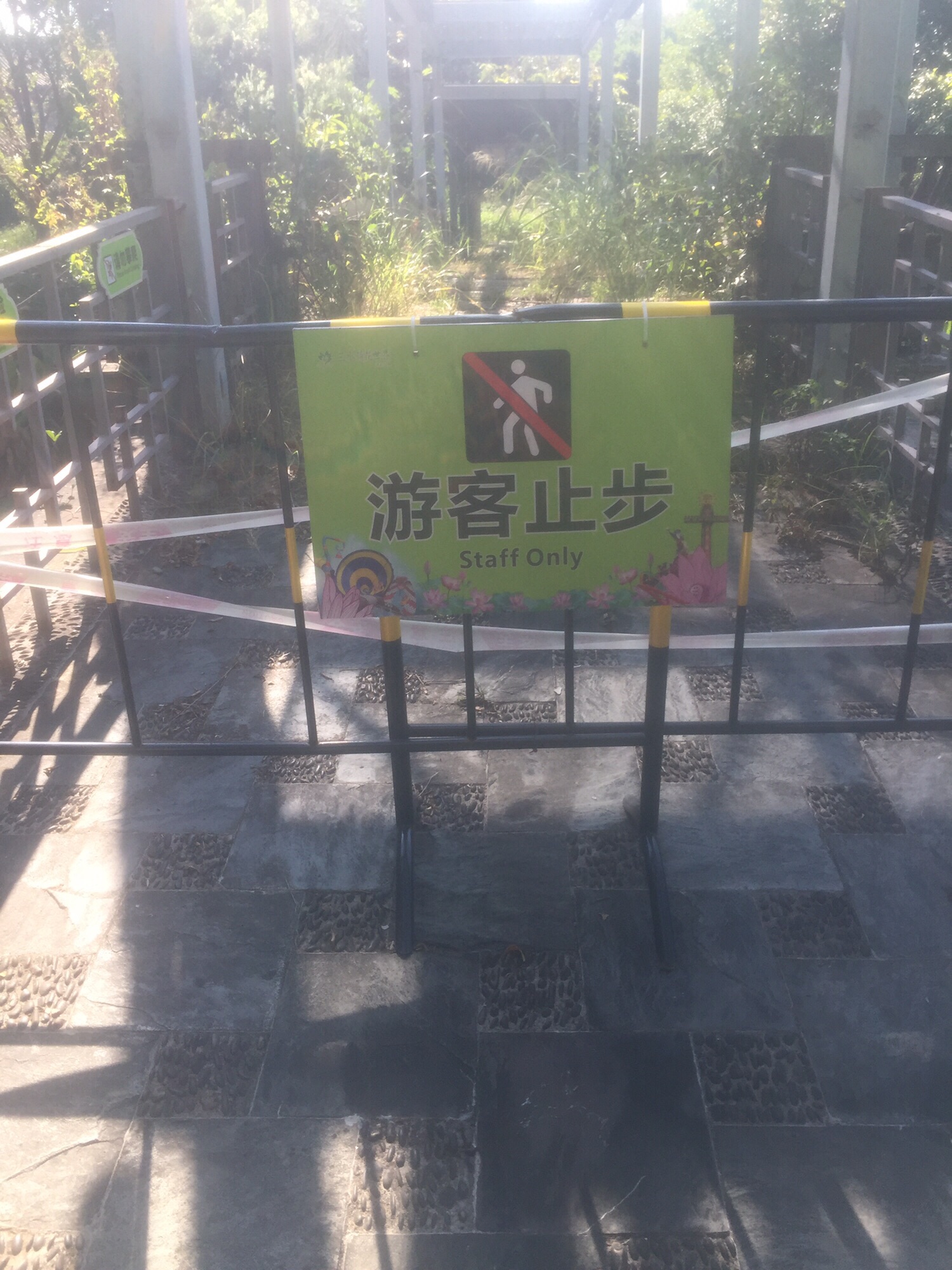 三水荷花世界旅行图片 1