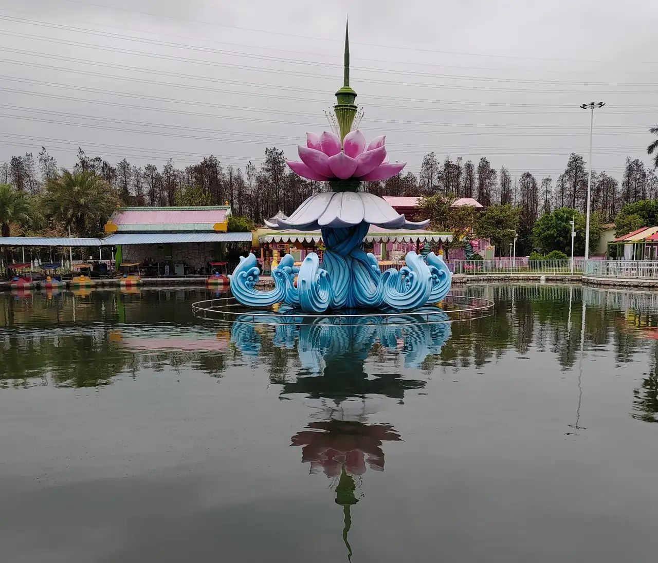 三水荷花世界旅行图片 1