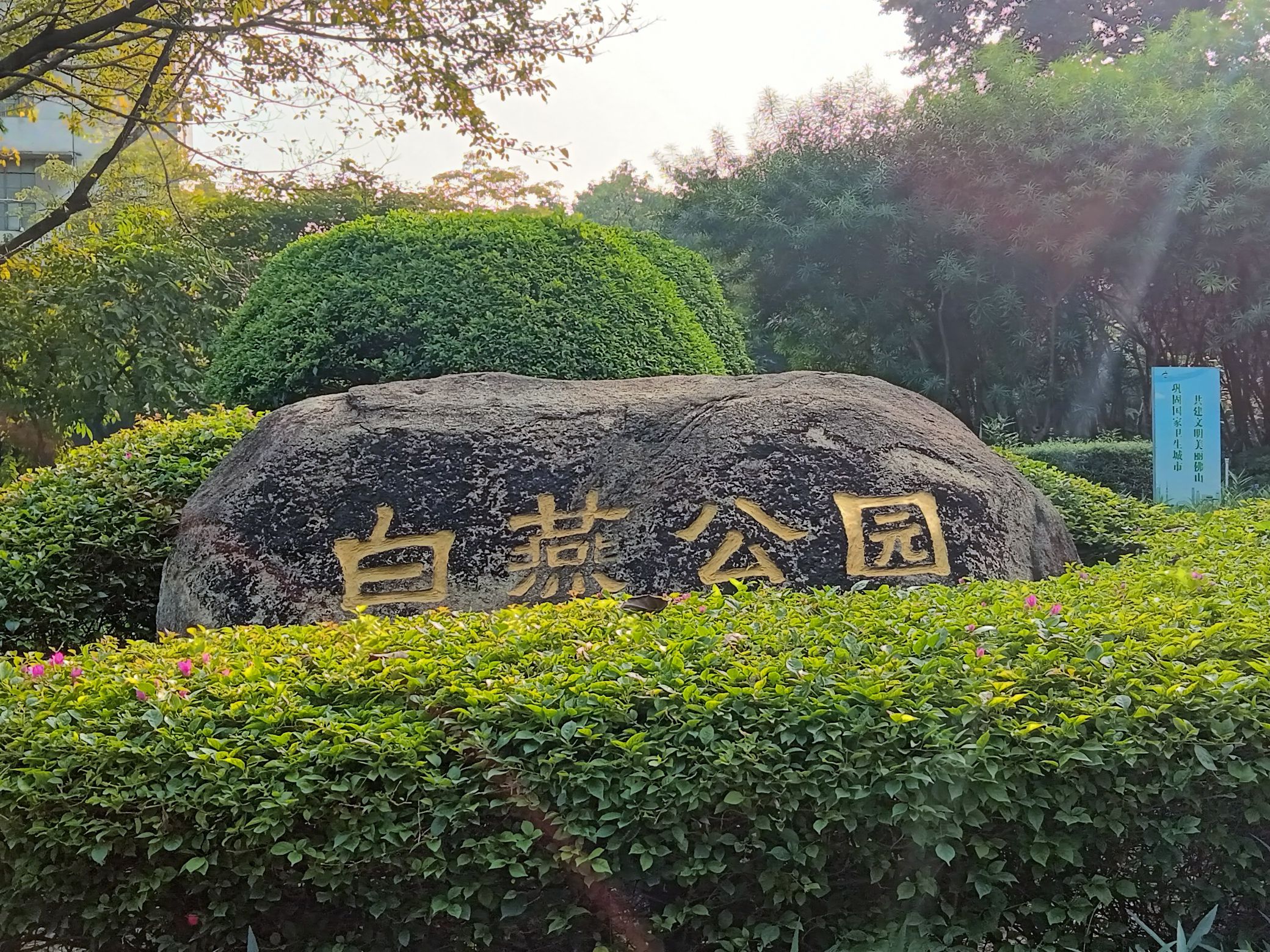 白燕公园旅行图片 1