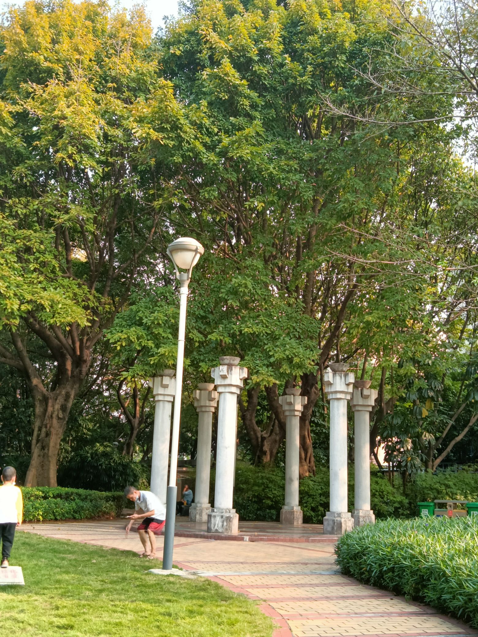 白燕公园旅行图片 2