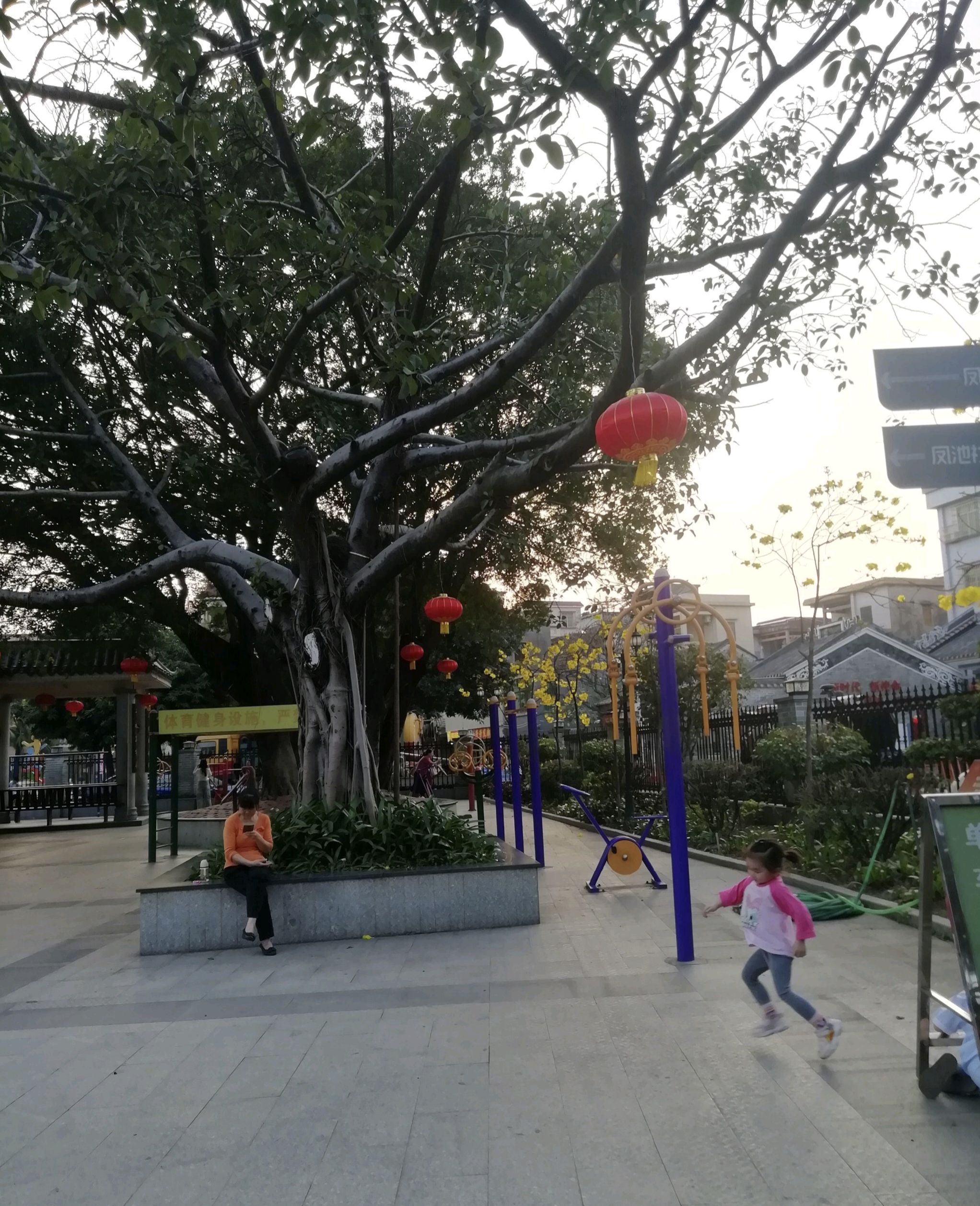 凤东公园旅行图片 2