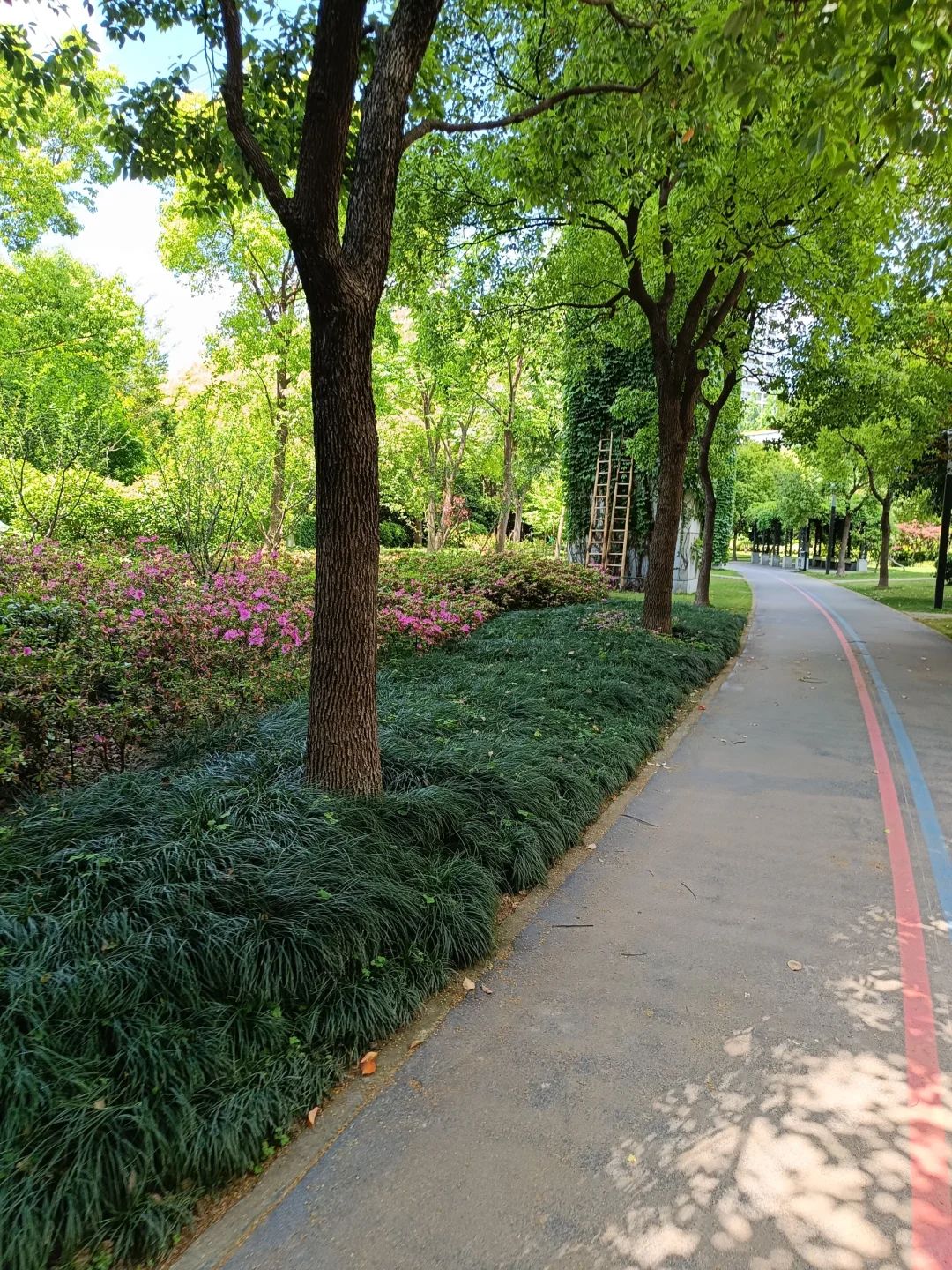 南浦公园旅行图片 1