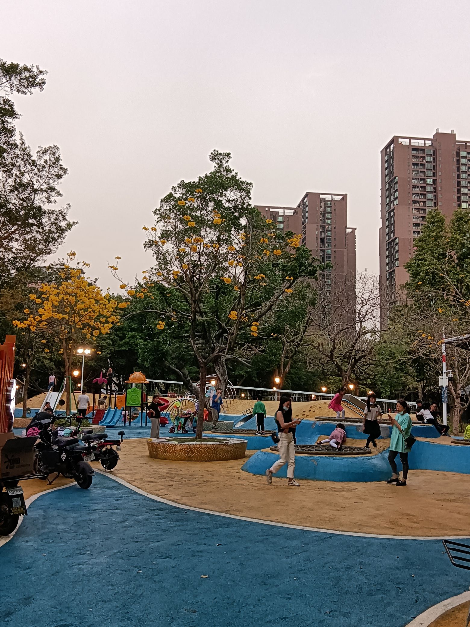 南浦公园旅行图片 2