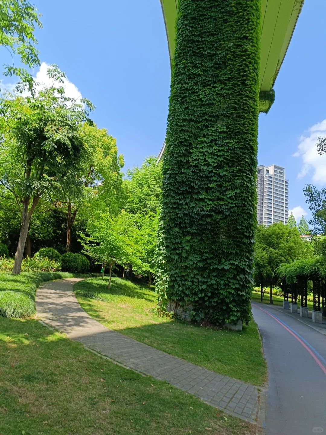 南浦公园旅行图片 2