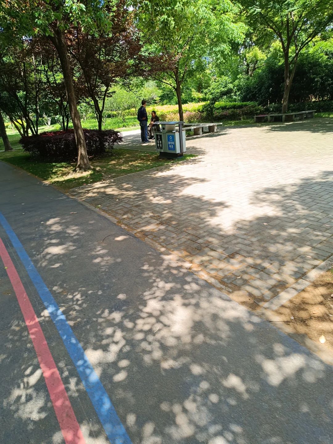 南浦公园旅行图片 3