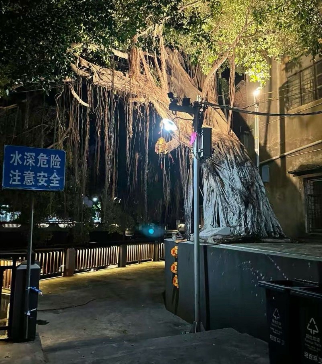 坦西公园旅行图片 3