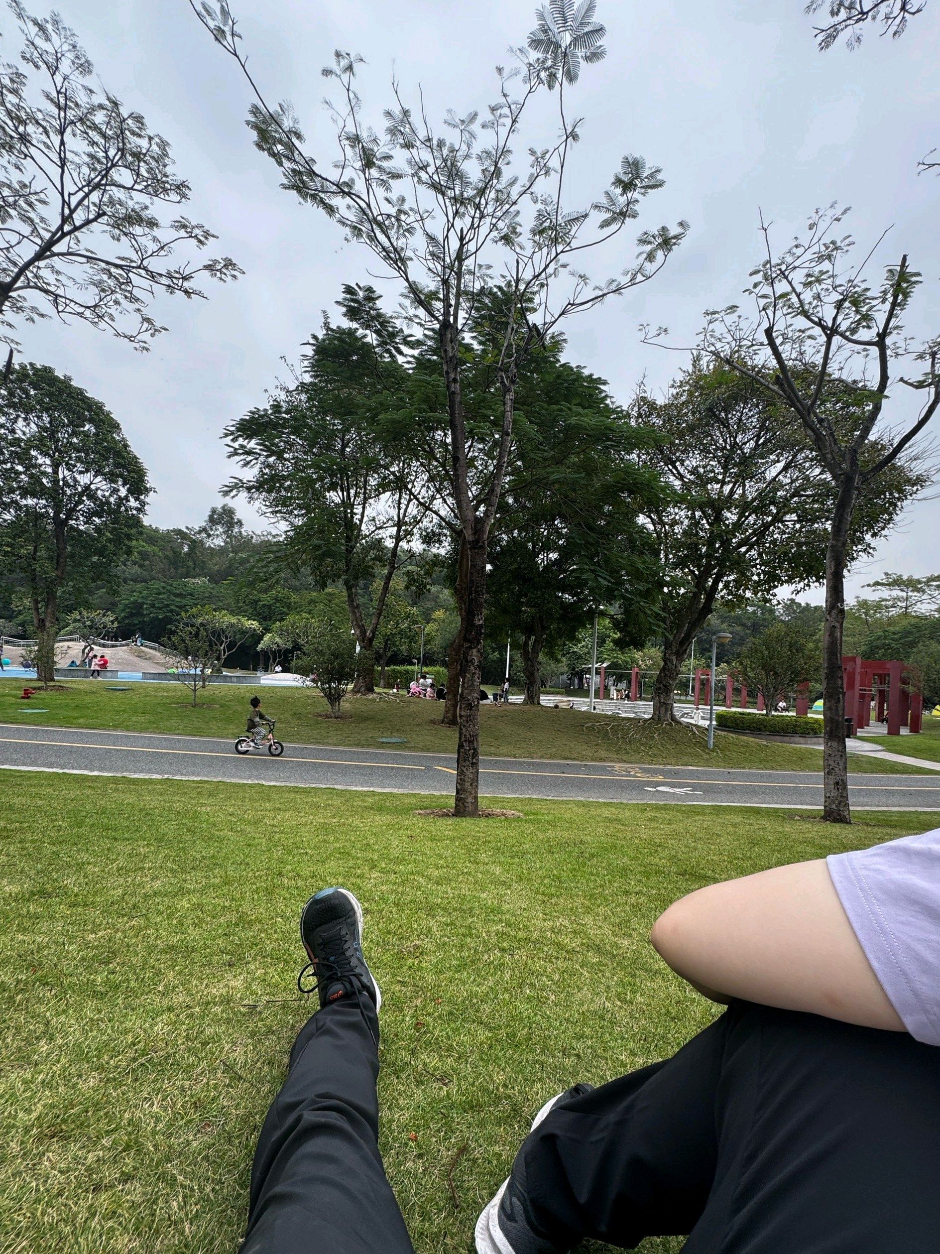 天湖森林公园旅行图片 2