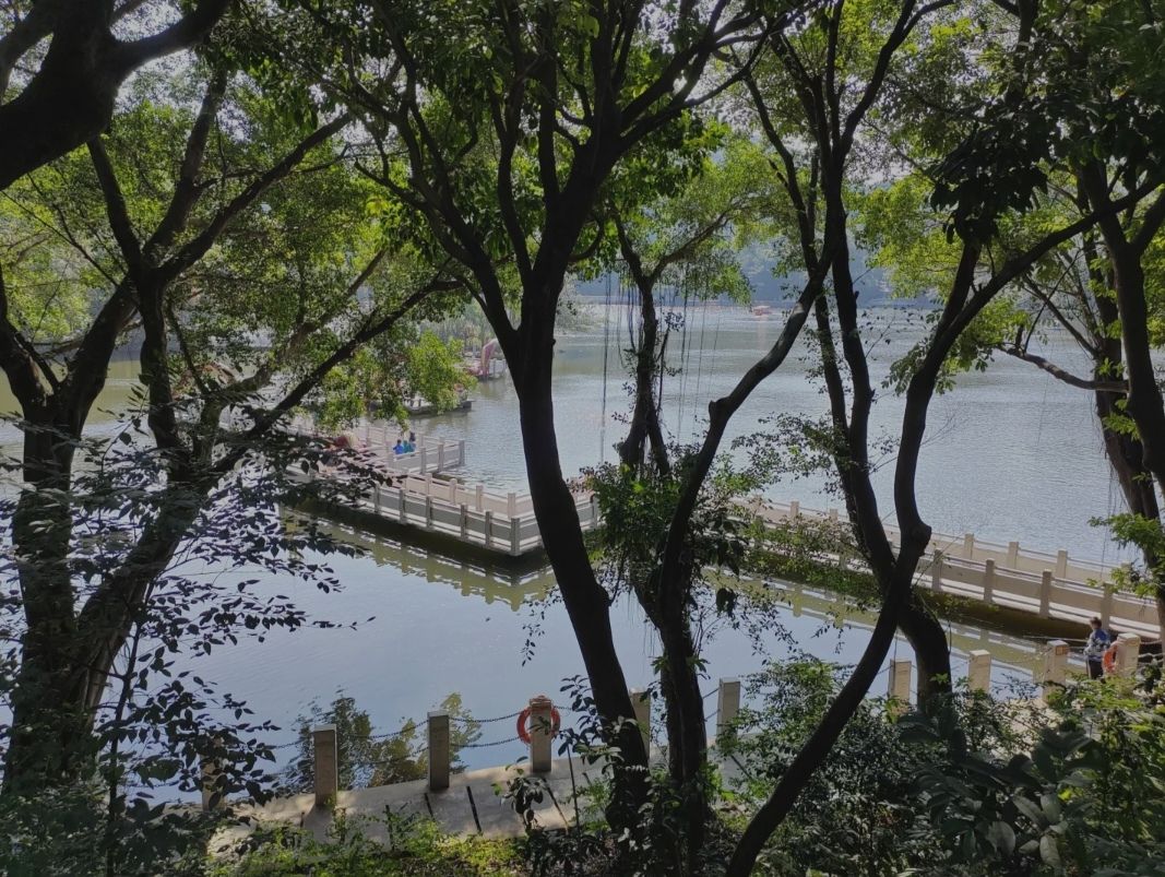 天湖森林公园旅行图片 3