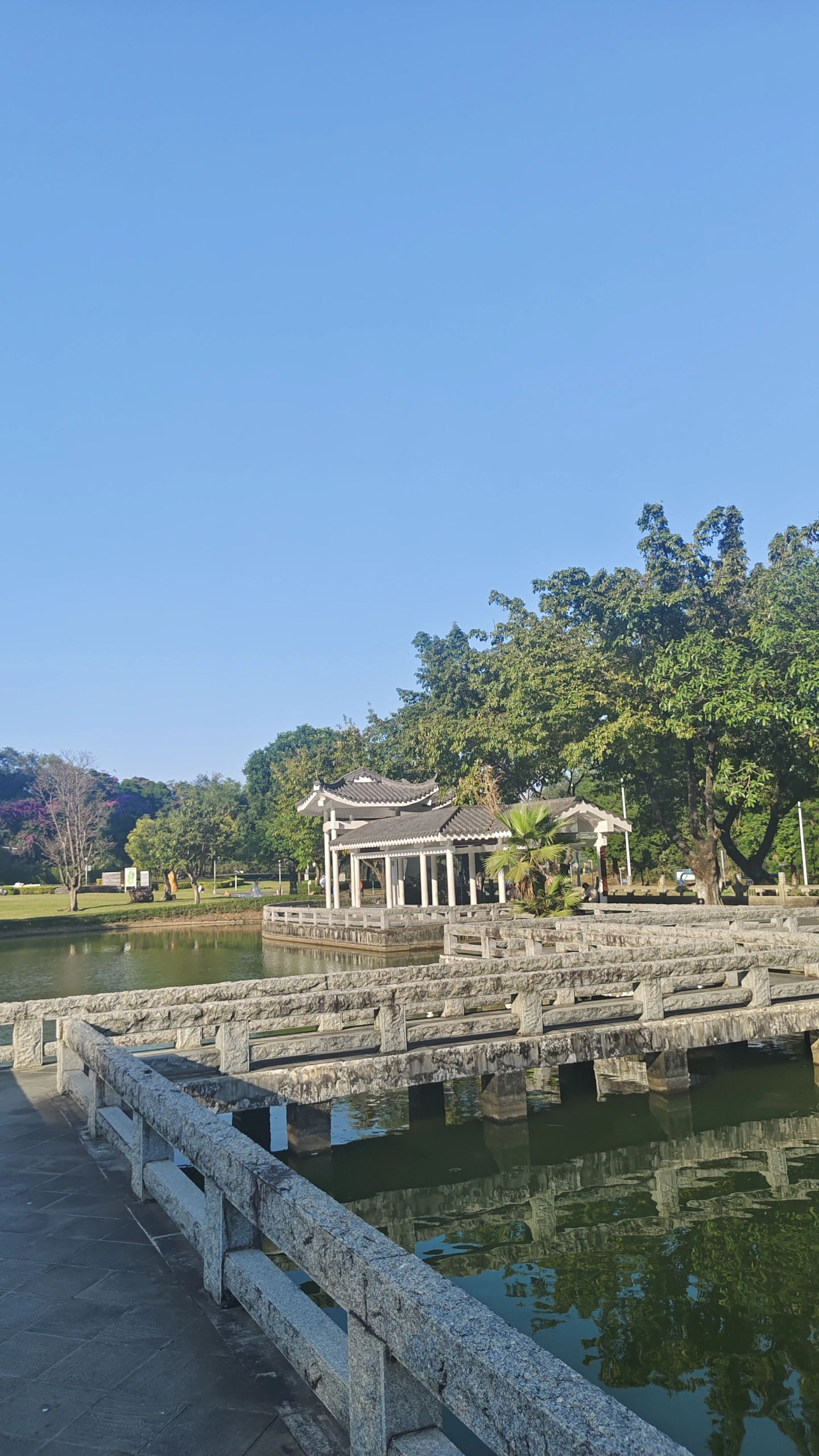 天湖森林公园旅行图片 1