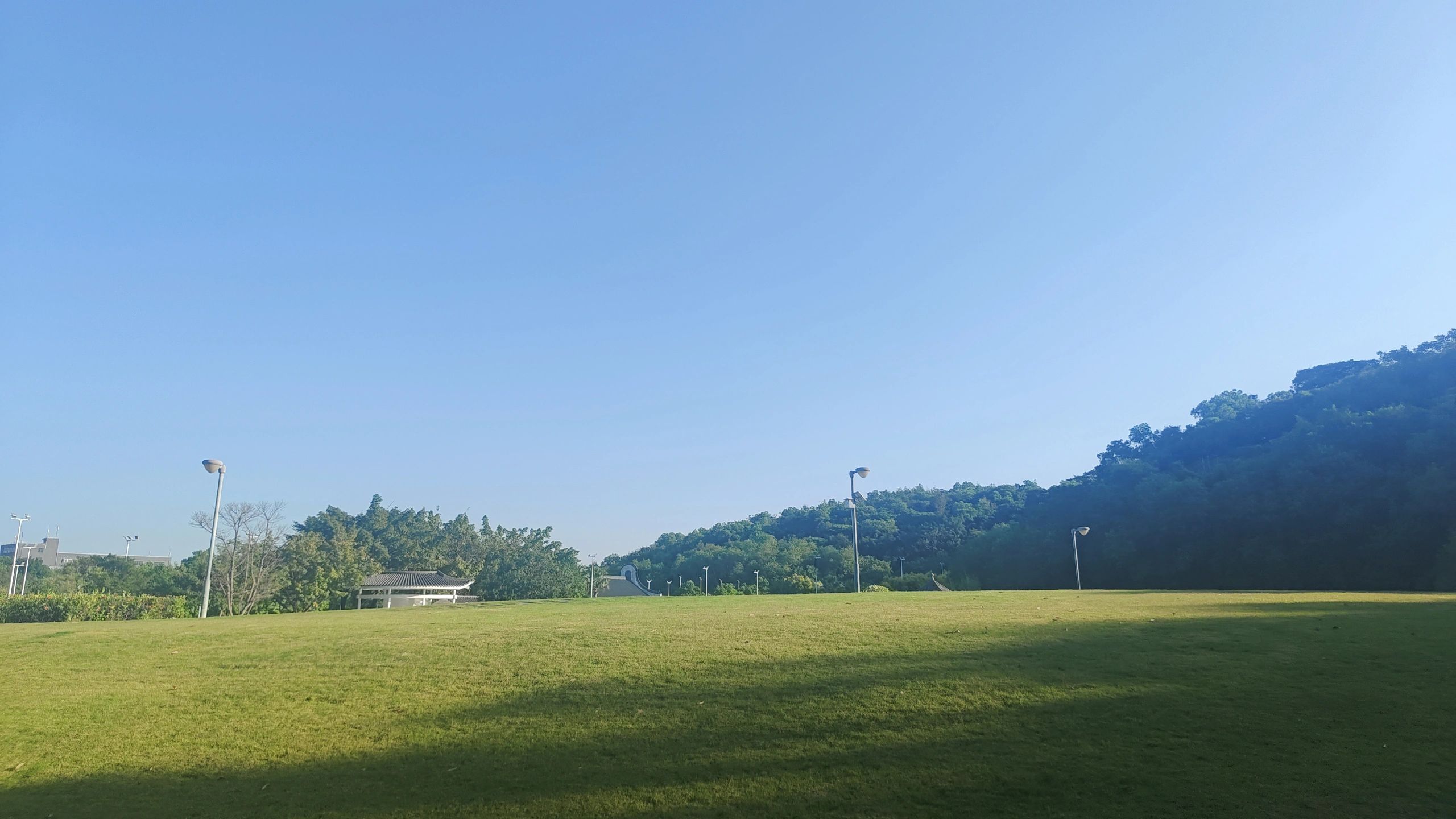 天湖森林公园旅行图片 3