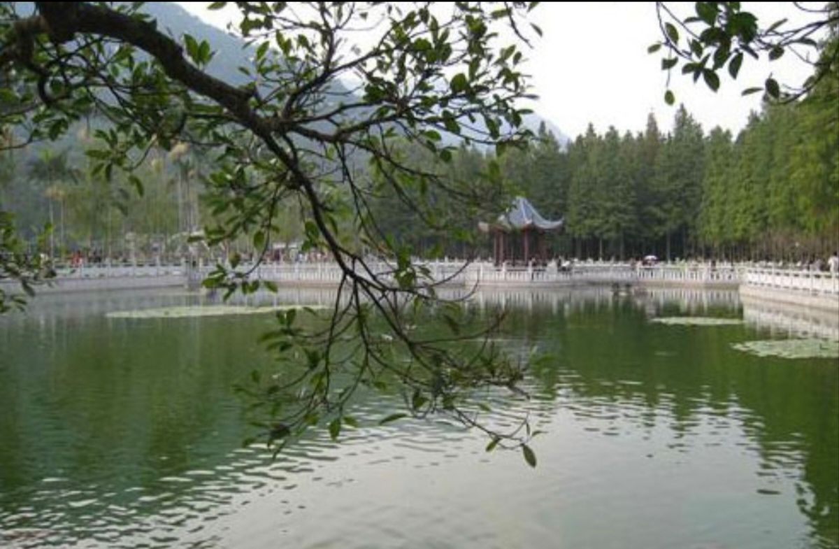 松岗文化公园旅行图片 3