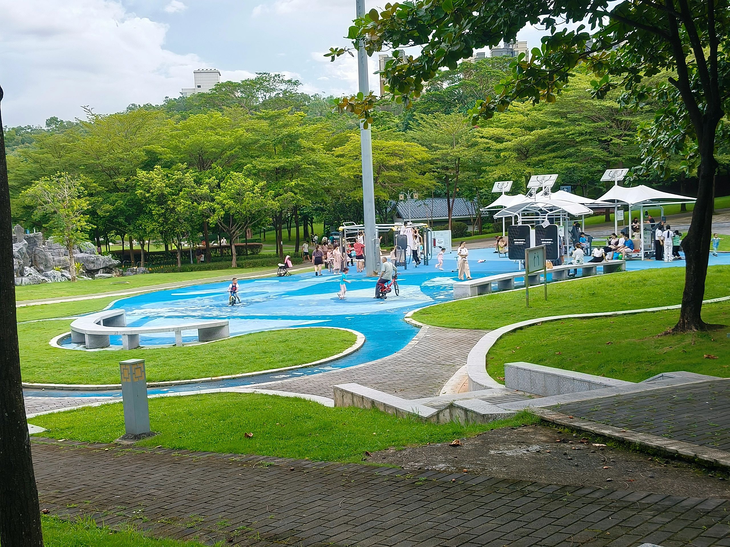 松岗文化公园旅行图片 1
