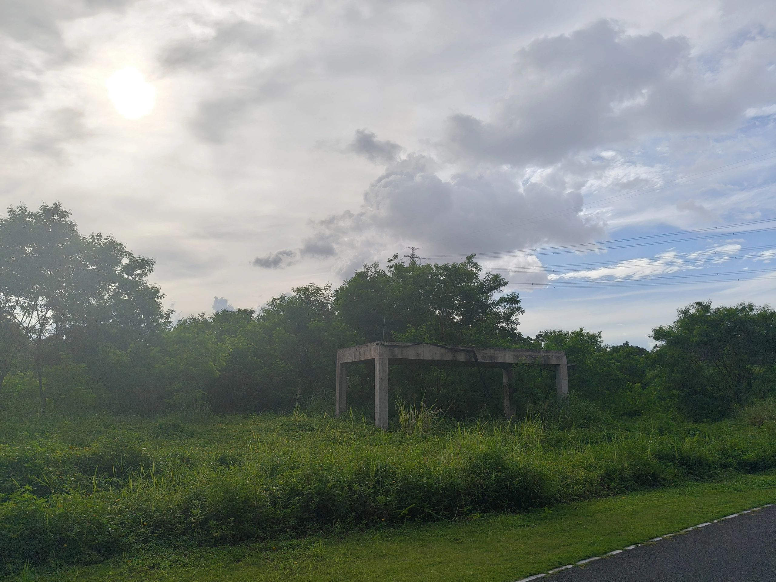 松岗文化公园旅行图片 3