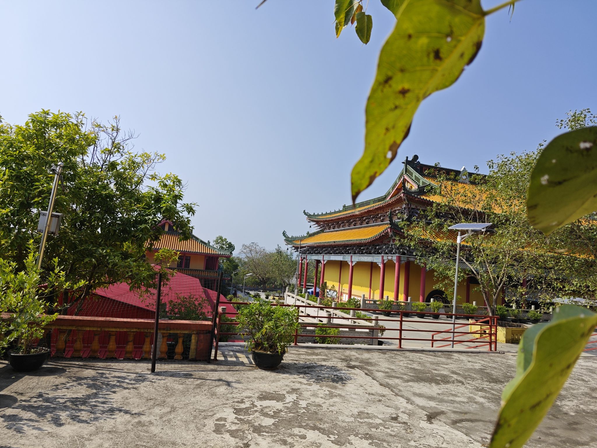 杨梅观音禅寺旅行图片 2