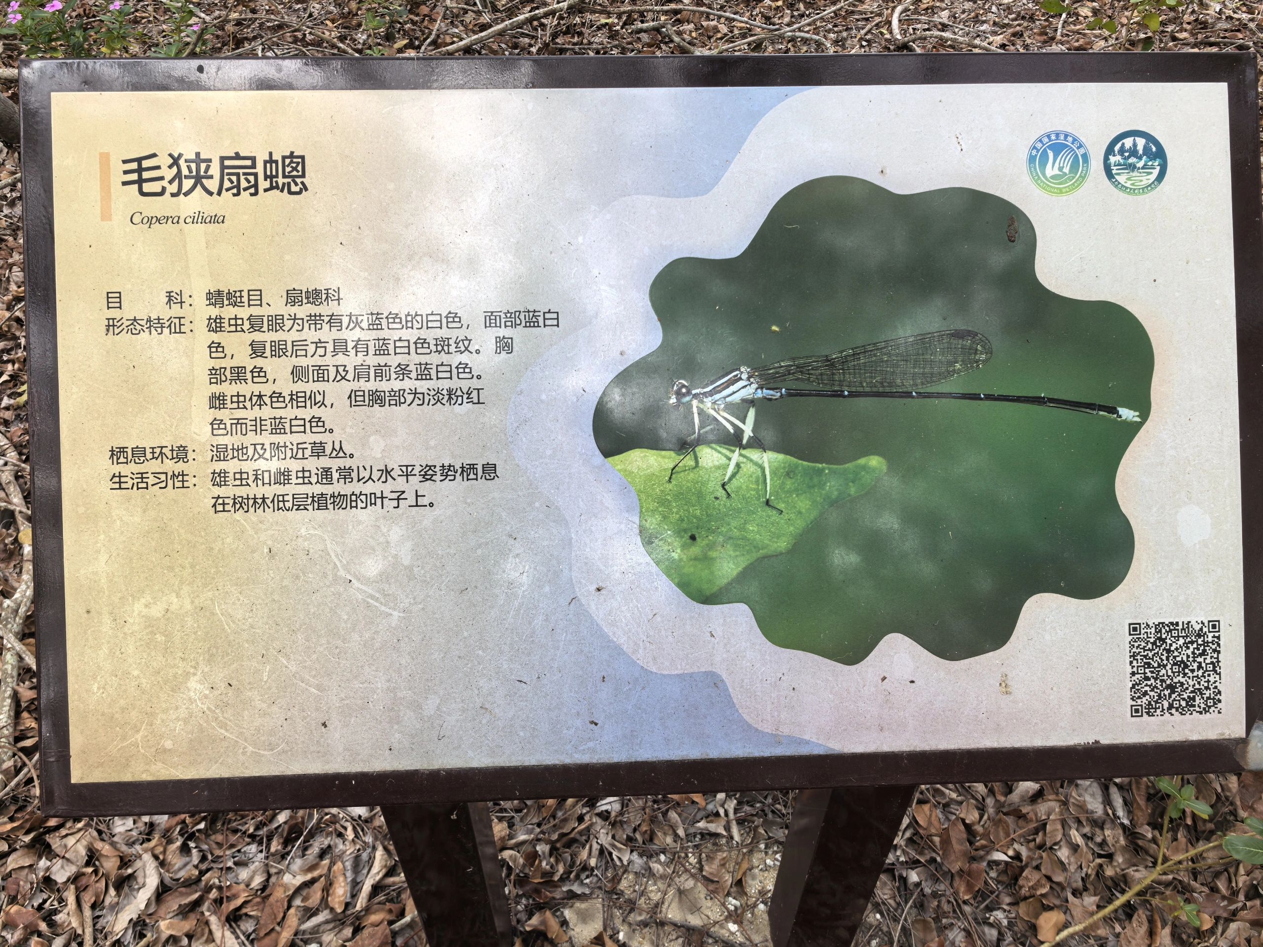 海尾公园旅行图片 3
