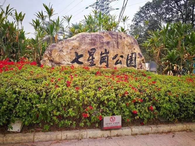 七星岗公园旅行图片 3