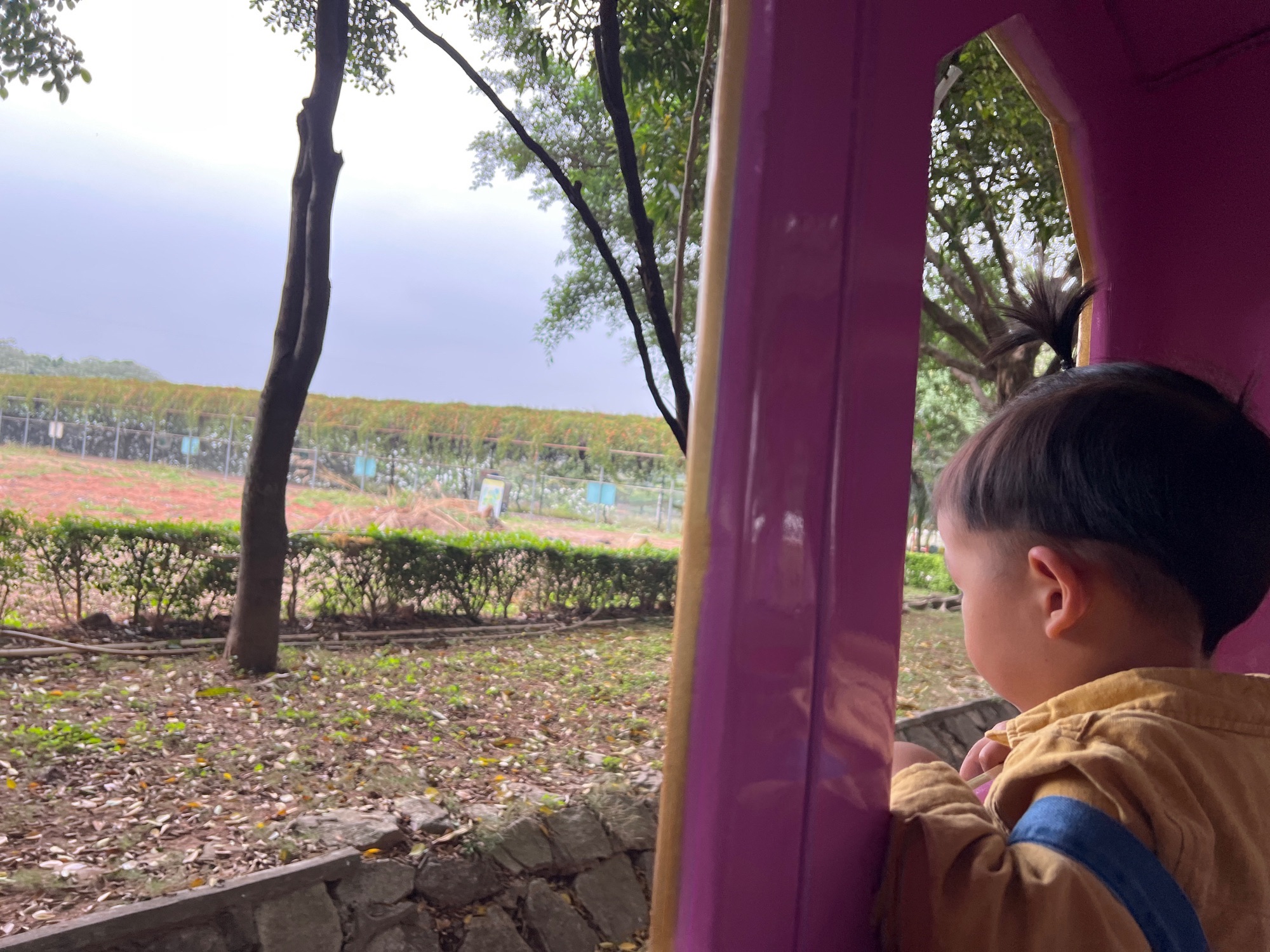 三水侨鑫生态园旅行图片 2