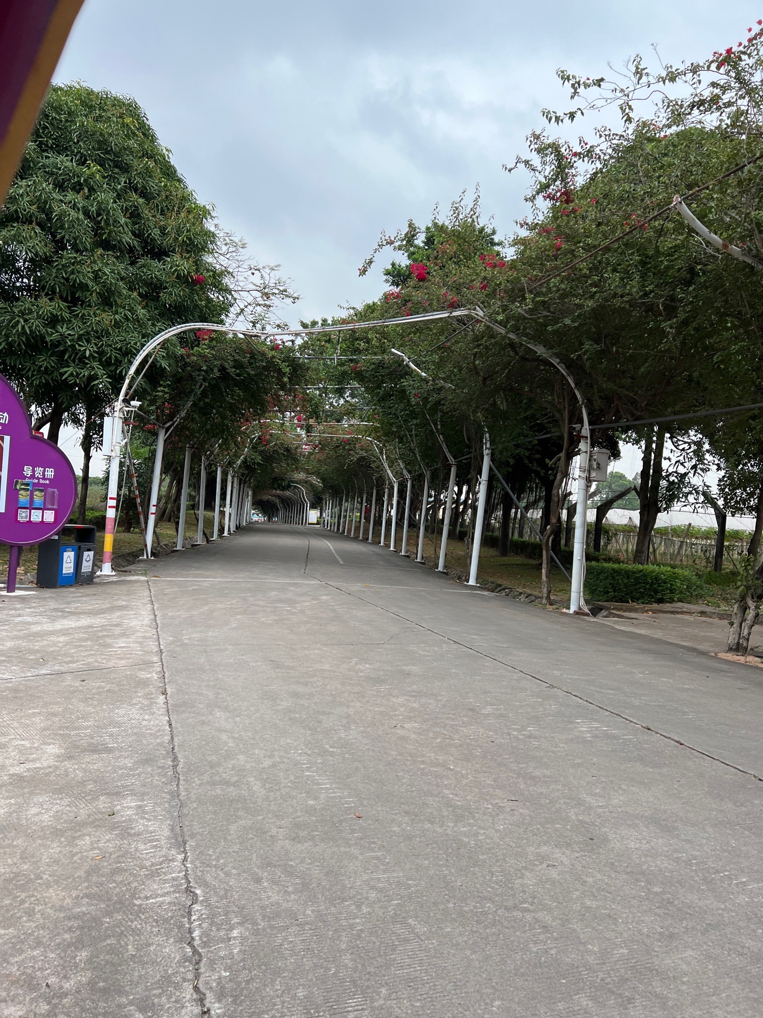 三水侨鑫生态园旅行图片 1