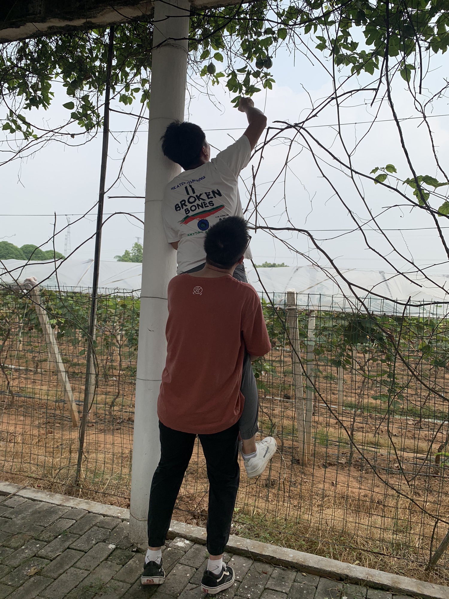 三水侨鑫生态园旅行图片 1