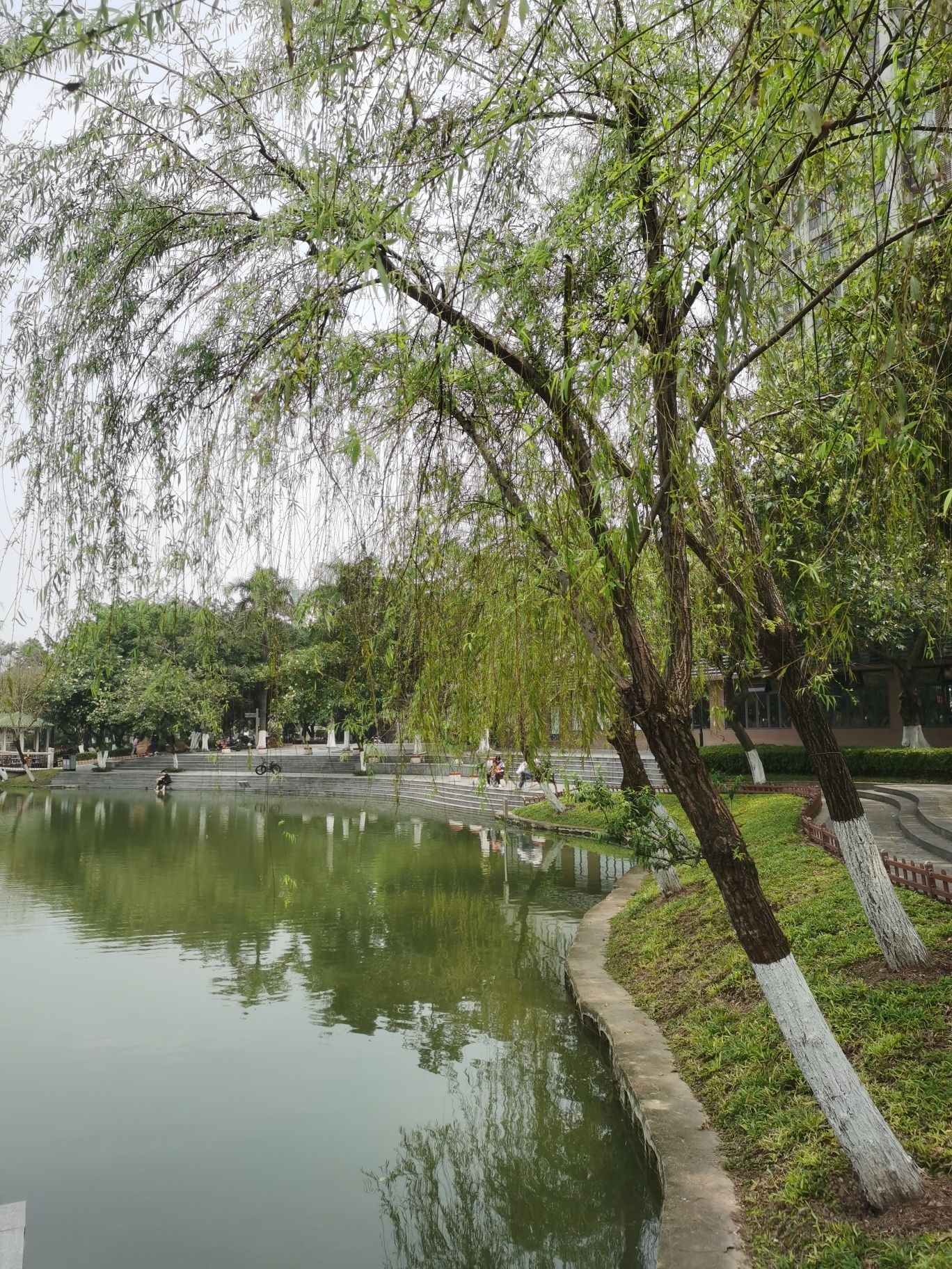三水文化公园旅行图片 1