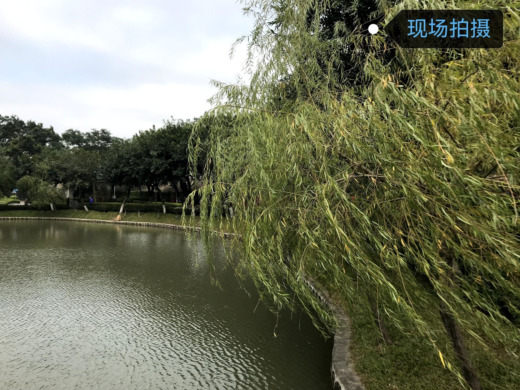 三水文化公园旅行图片 3