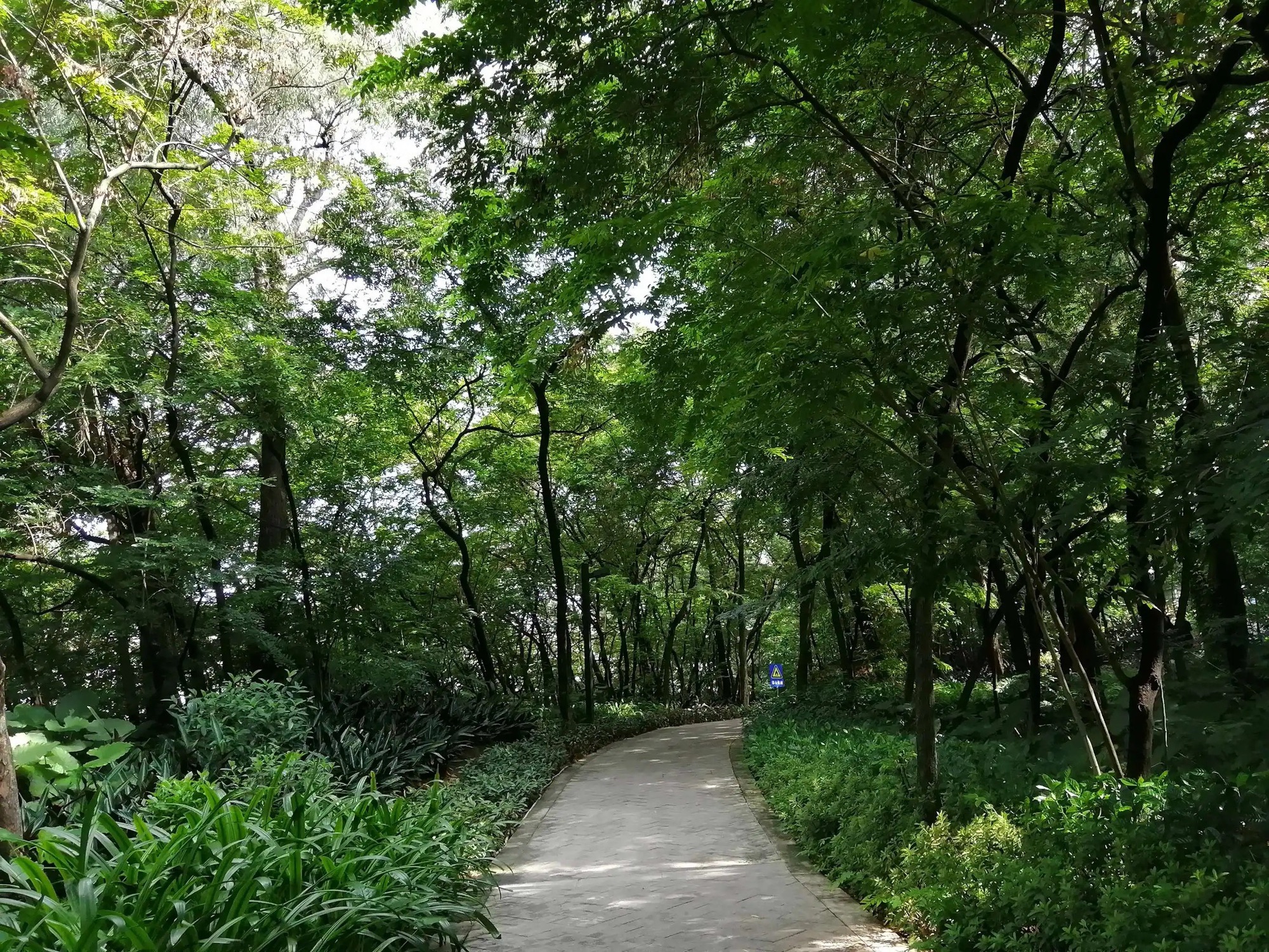 小雾岗公园旅行图片 3
