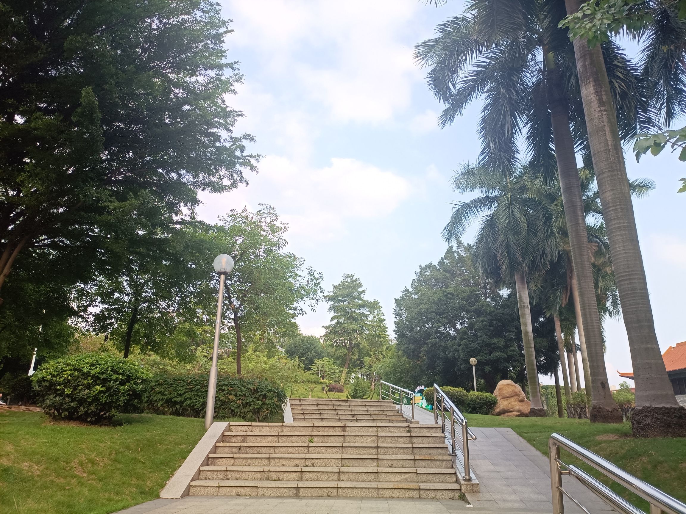 小雾岗公园旅行图片 1