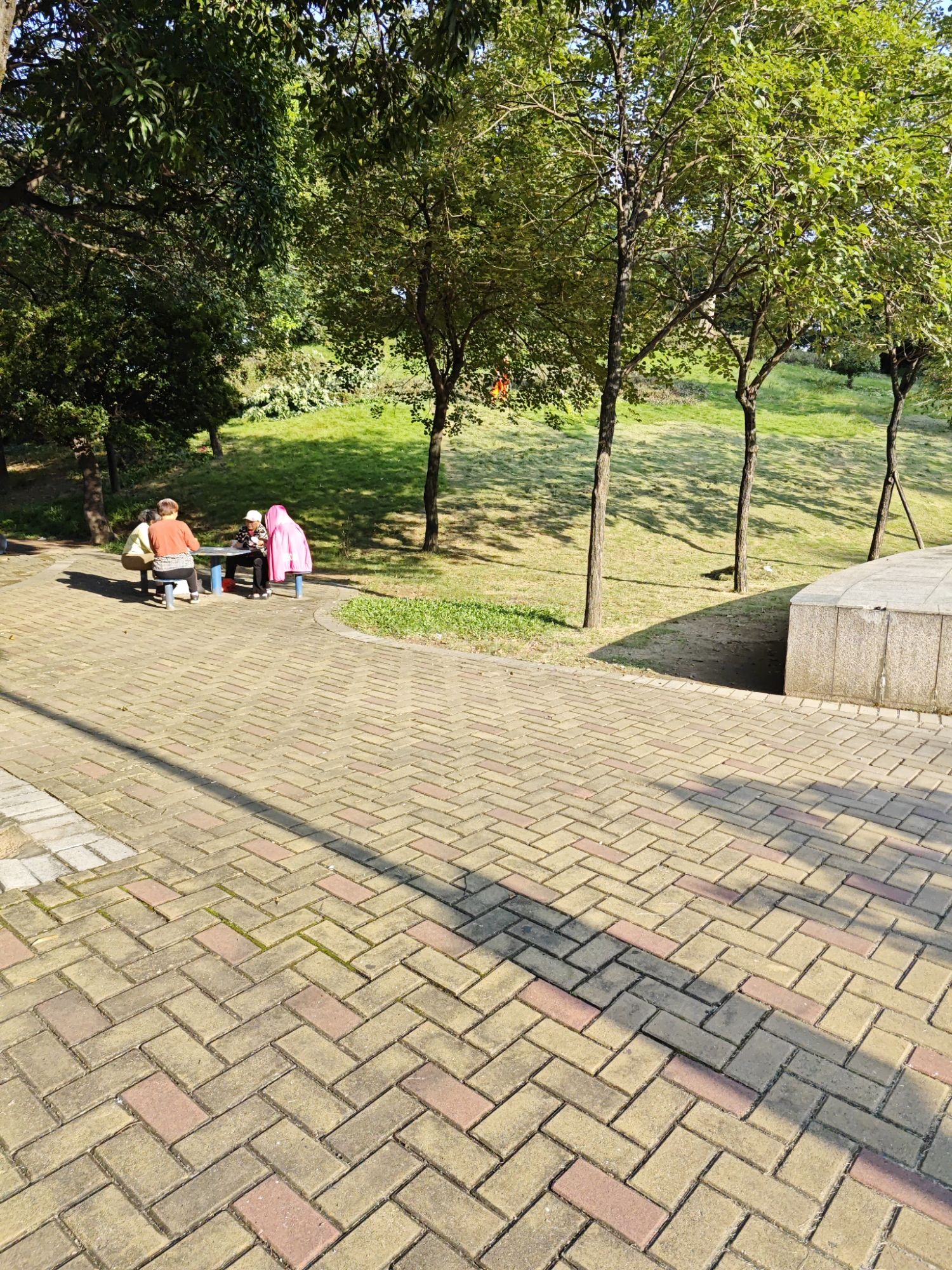 小雾岗公园旅行图片 3