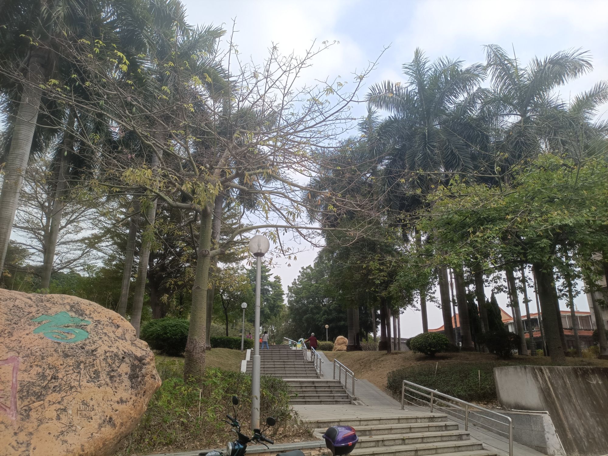 小雾岗公园旅行图片 3