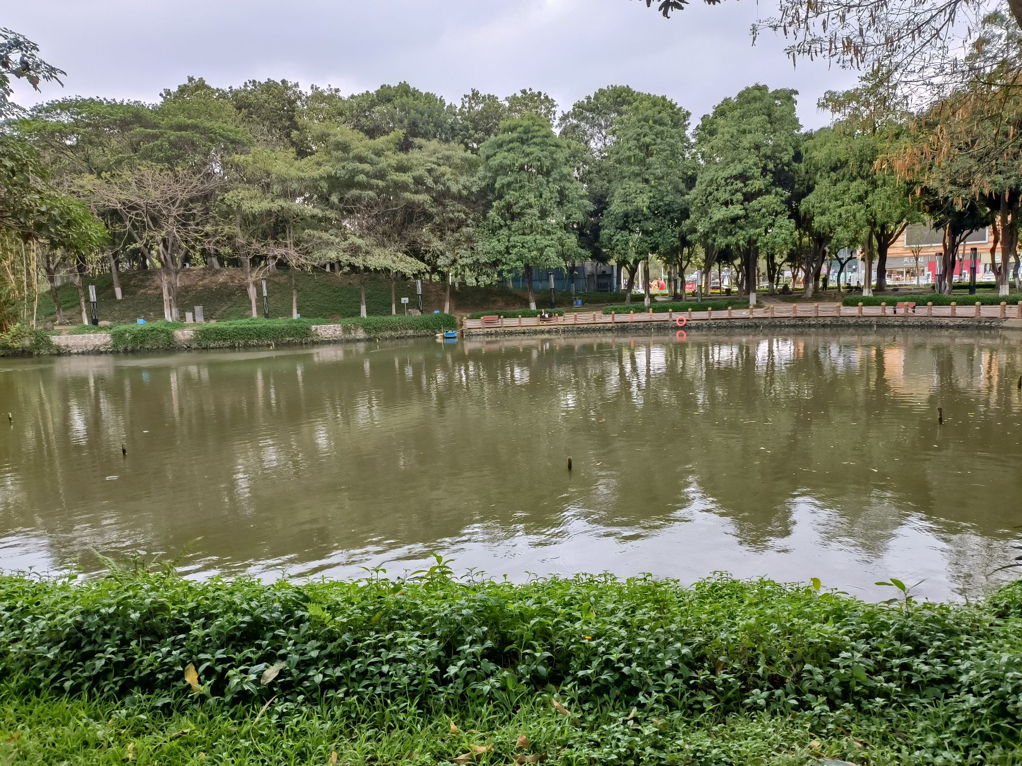 北滘公园旅行图片 2
