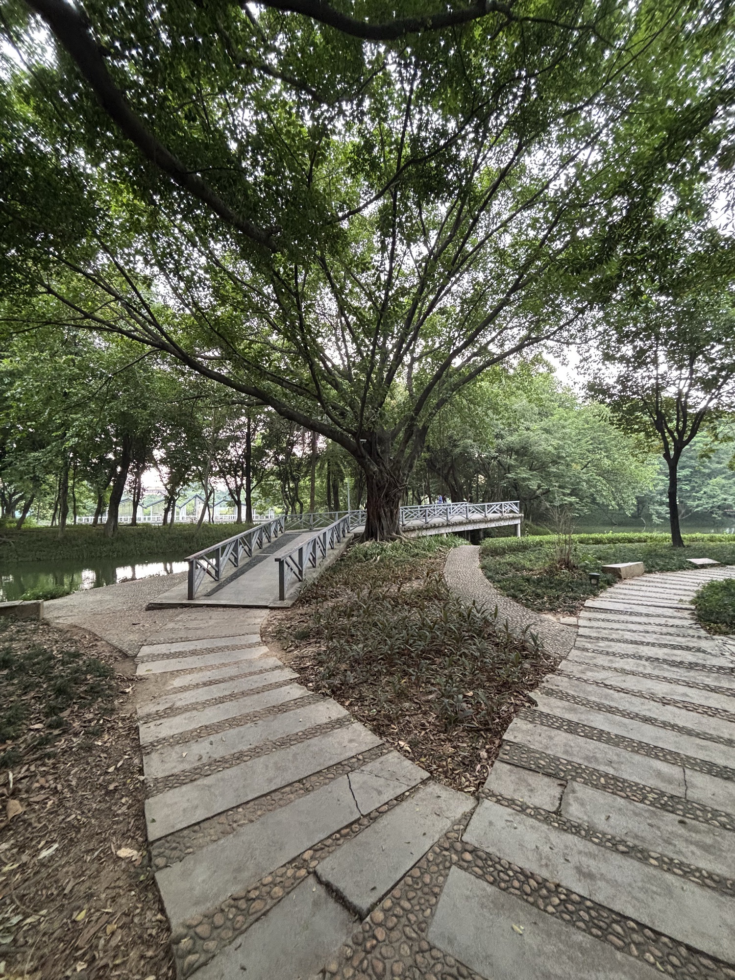 北滘公园旅行图片 1