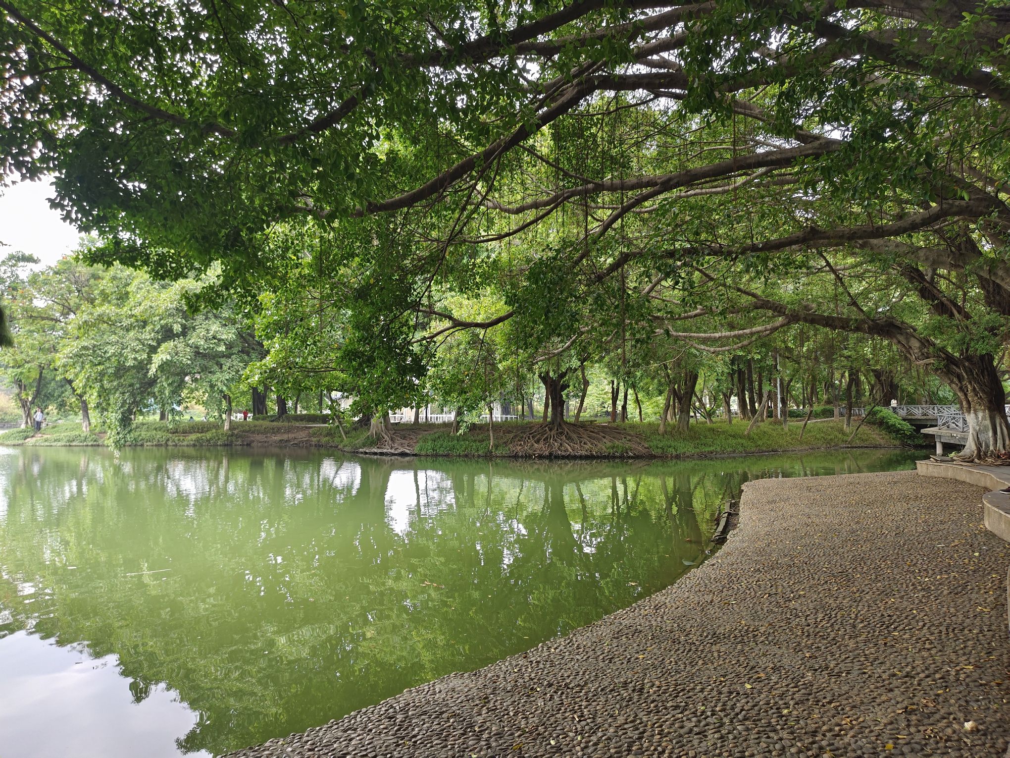 北滘公园旅行图片 1