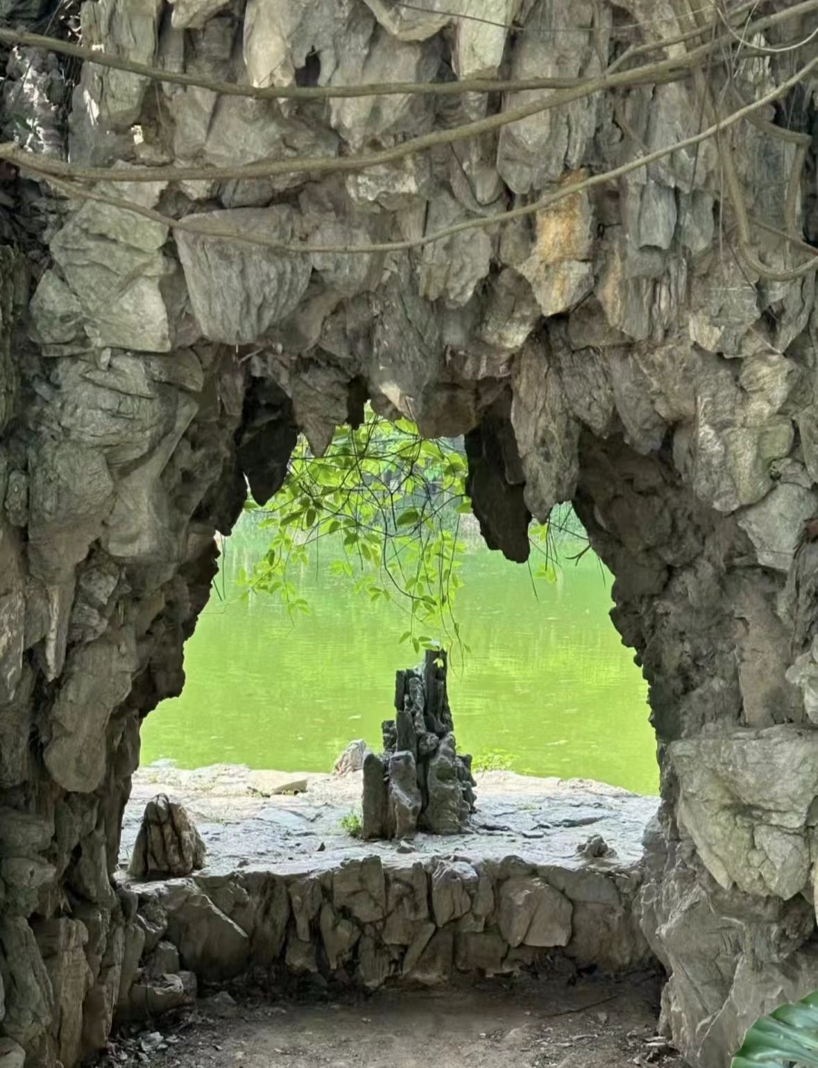 北滘公园旅行图片 3