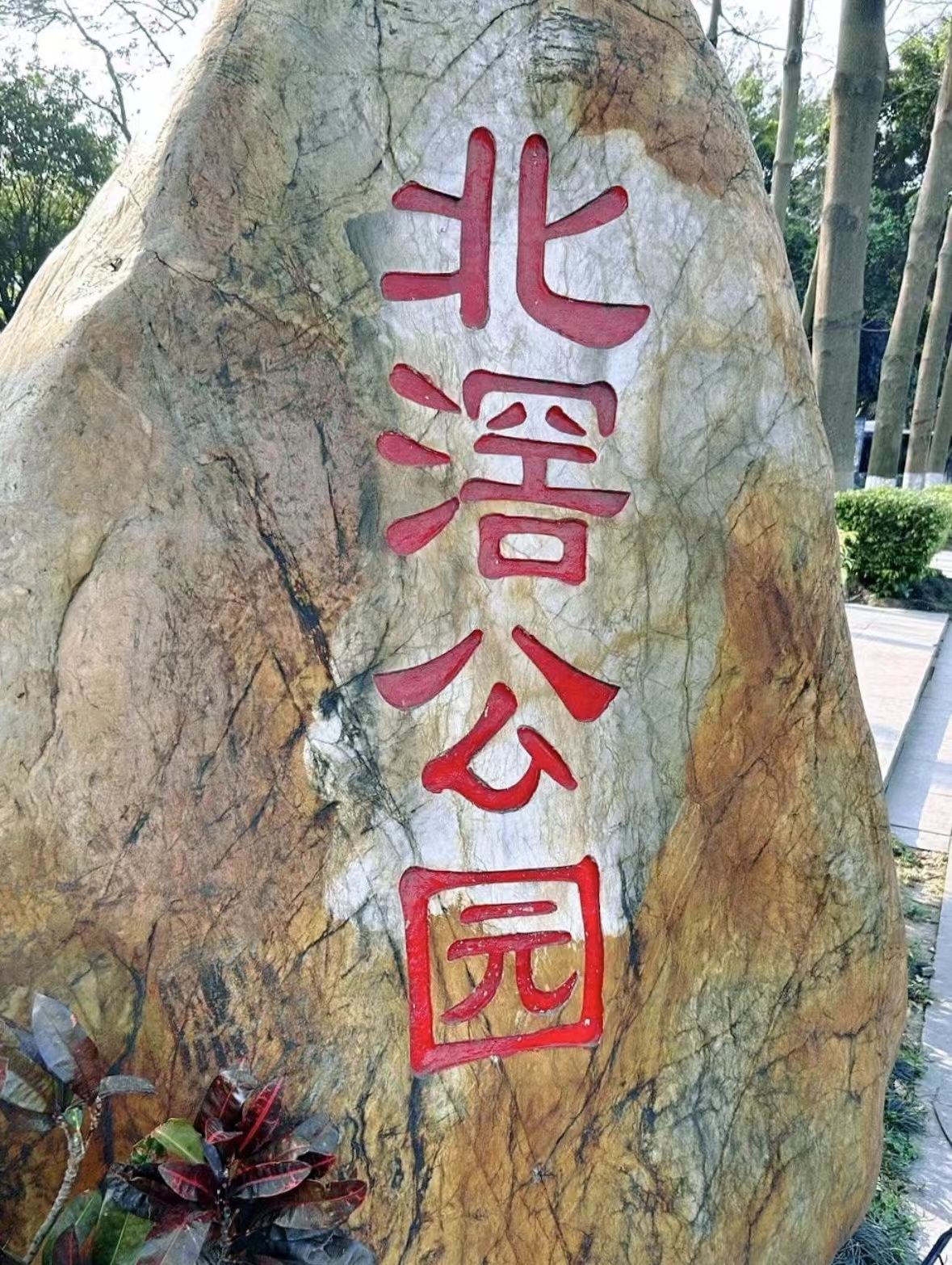 北滘公园旅行图片 1