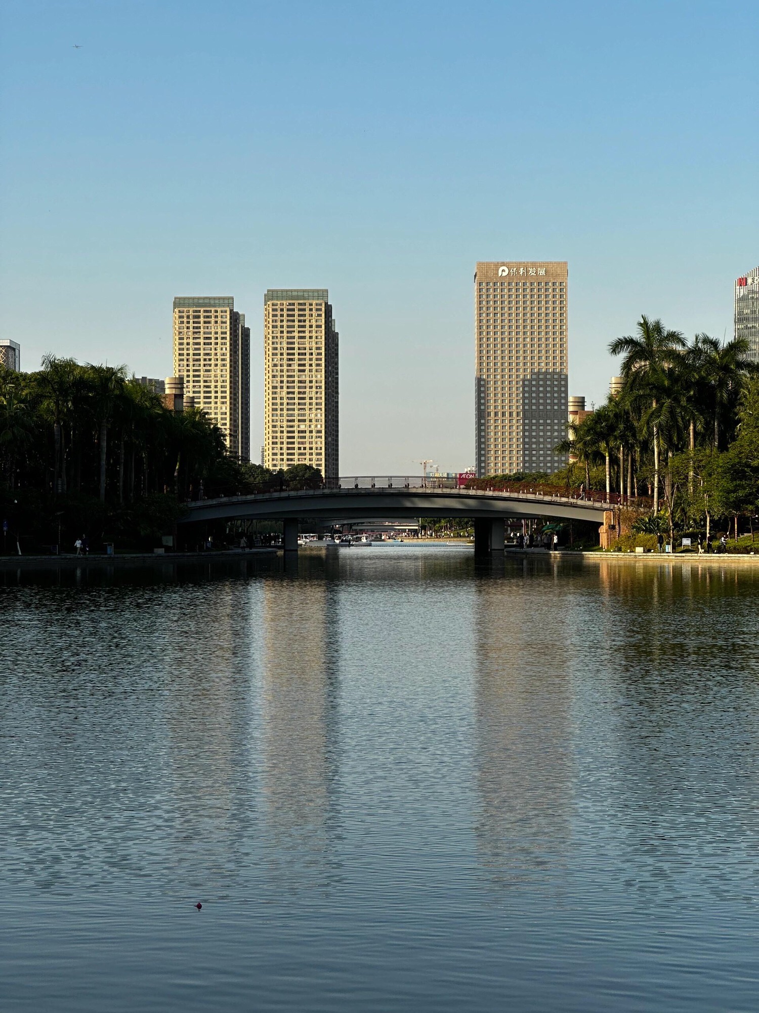 千灯湖公园旅行图片 2