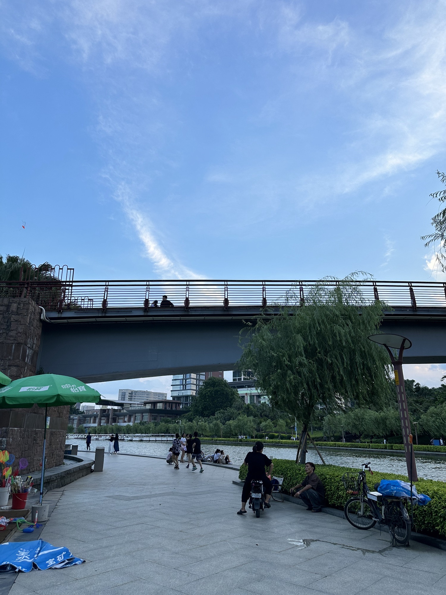 千灯湖公园旅行图片 2