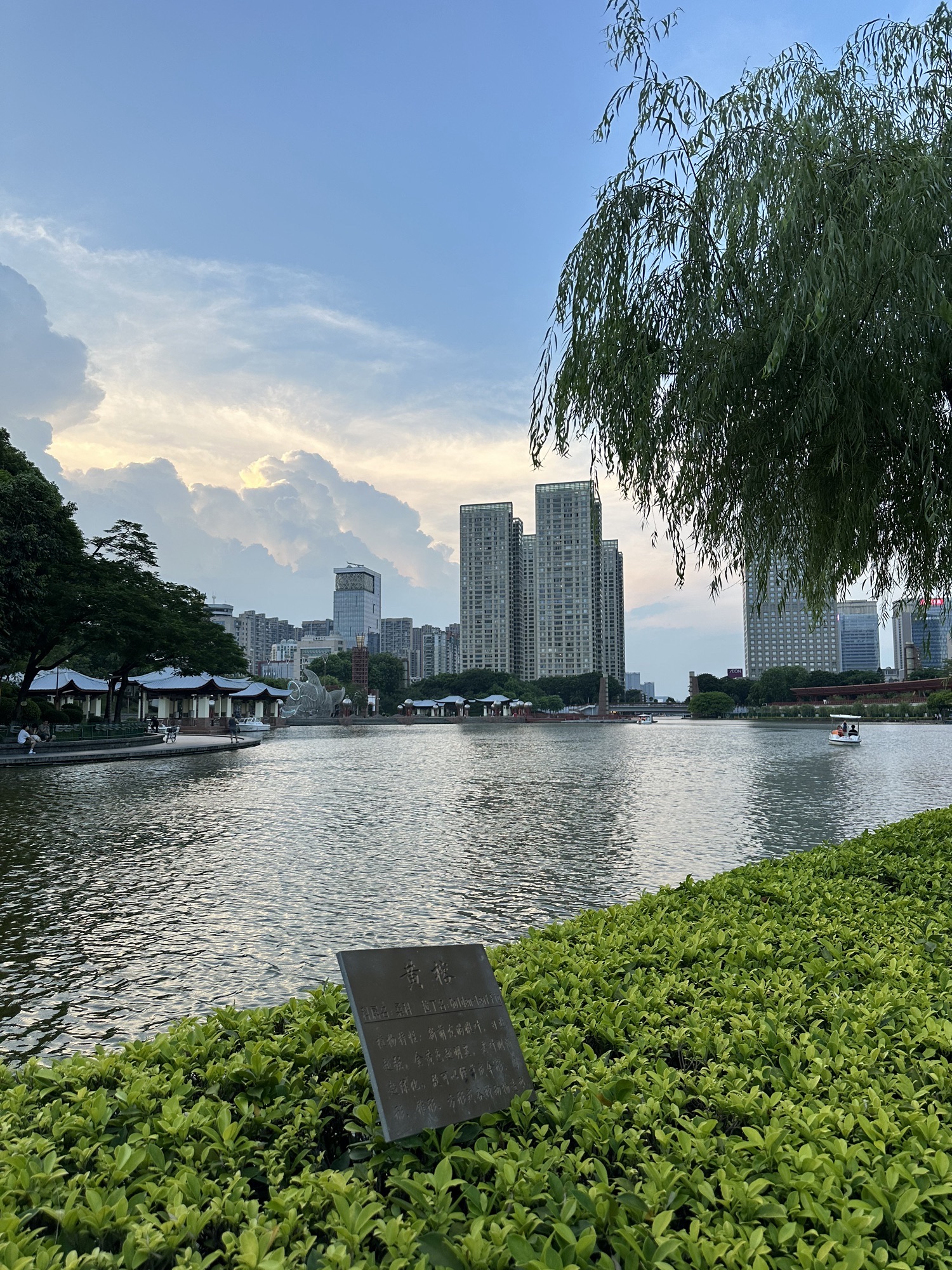 千灯湖公园旅行图片 3