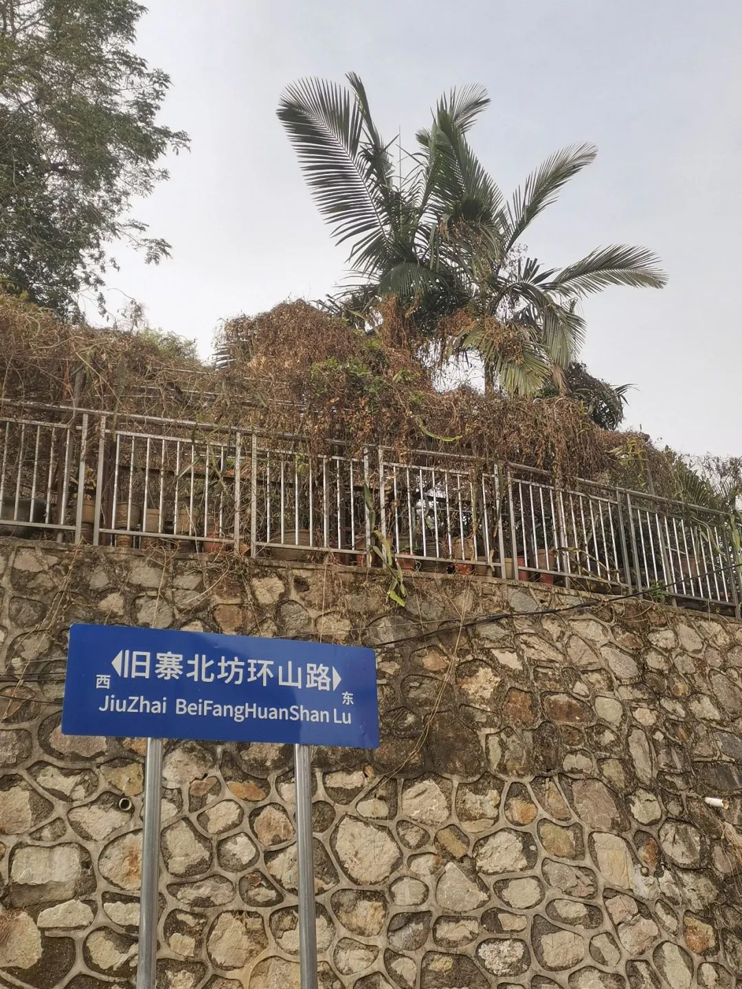 旧寨村旅行图片 1