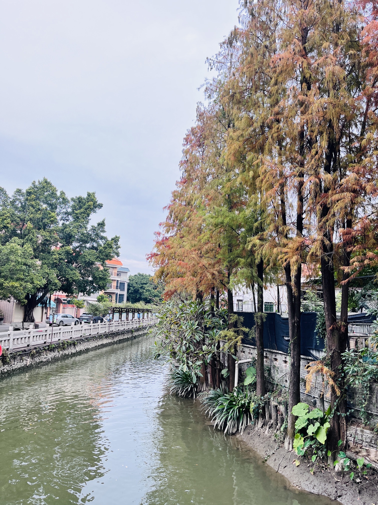 逢简村旅行图片 2