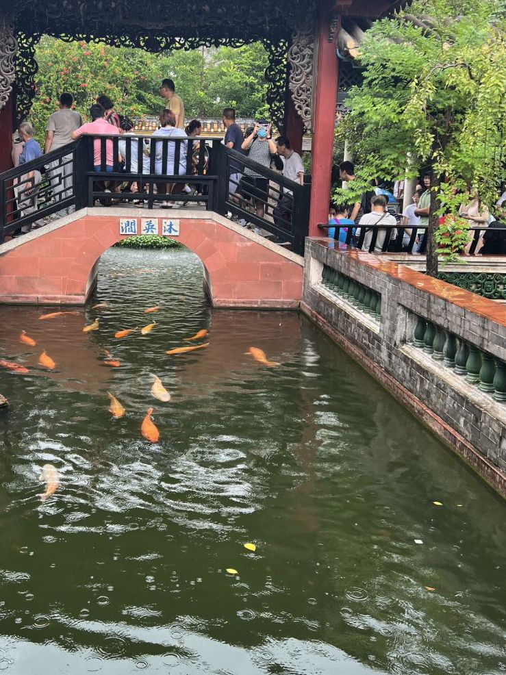 清晖园旅行图片 2