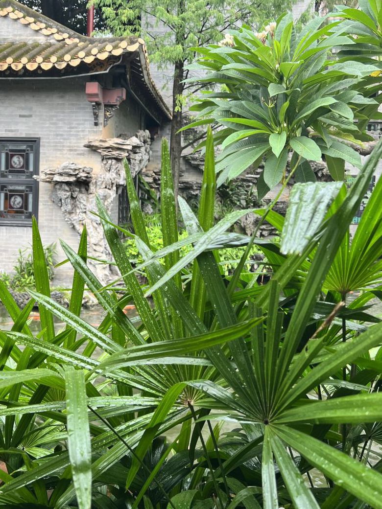 清晖园旅行图片 3
