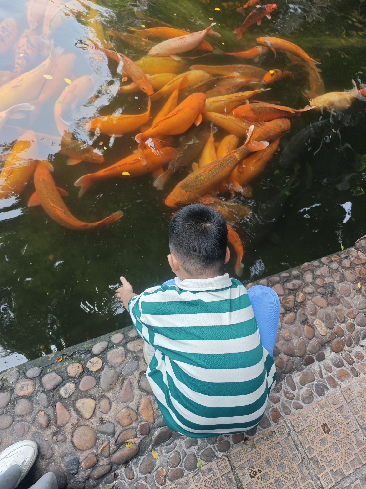 清晖园旅行图片 2