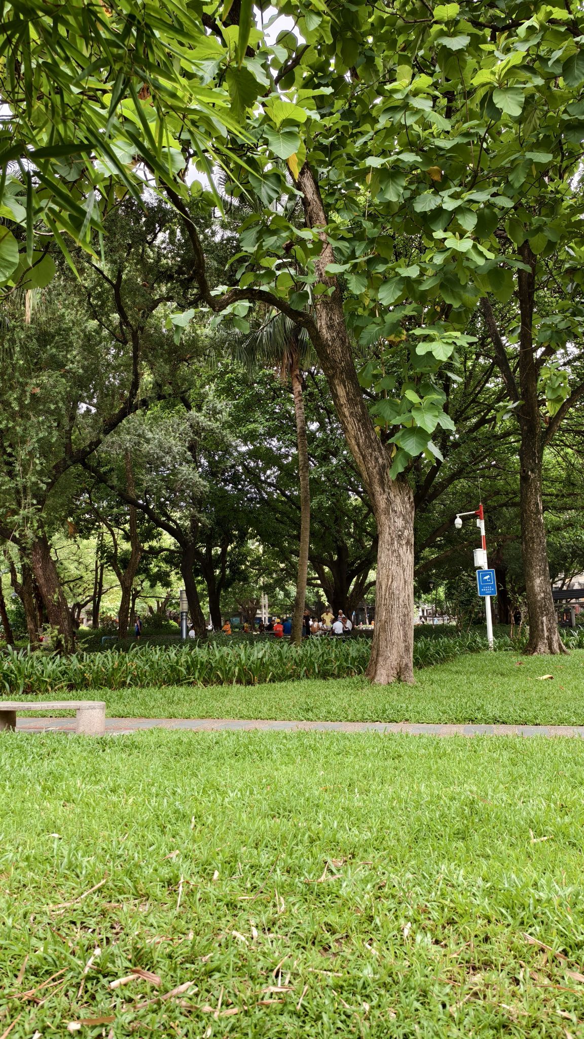 垂虹公园旅行图片 2