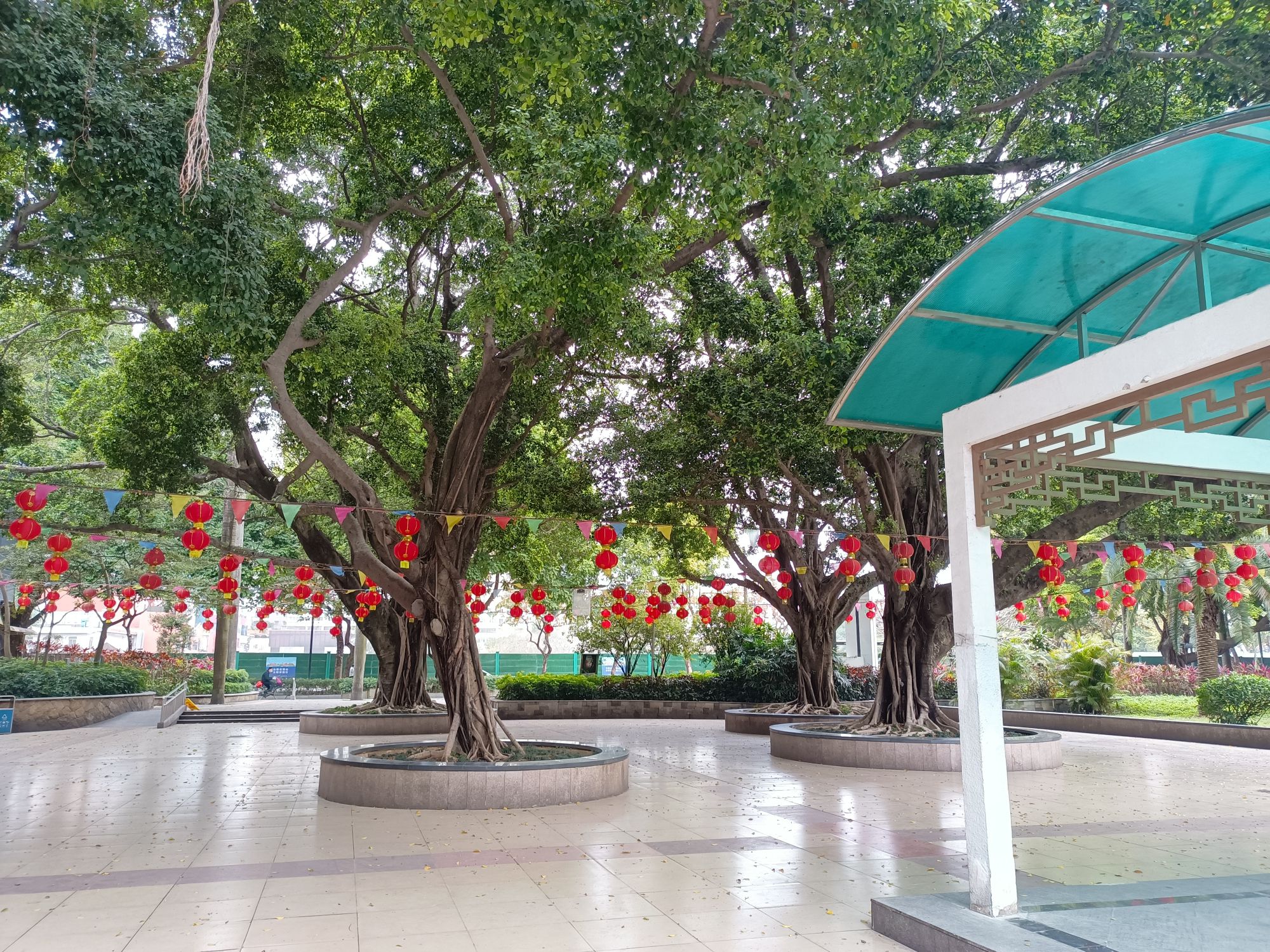 垂虹公园旅行图片 1