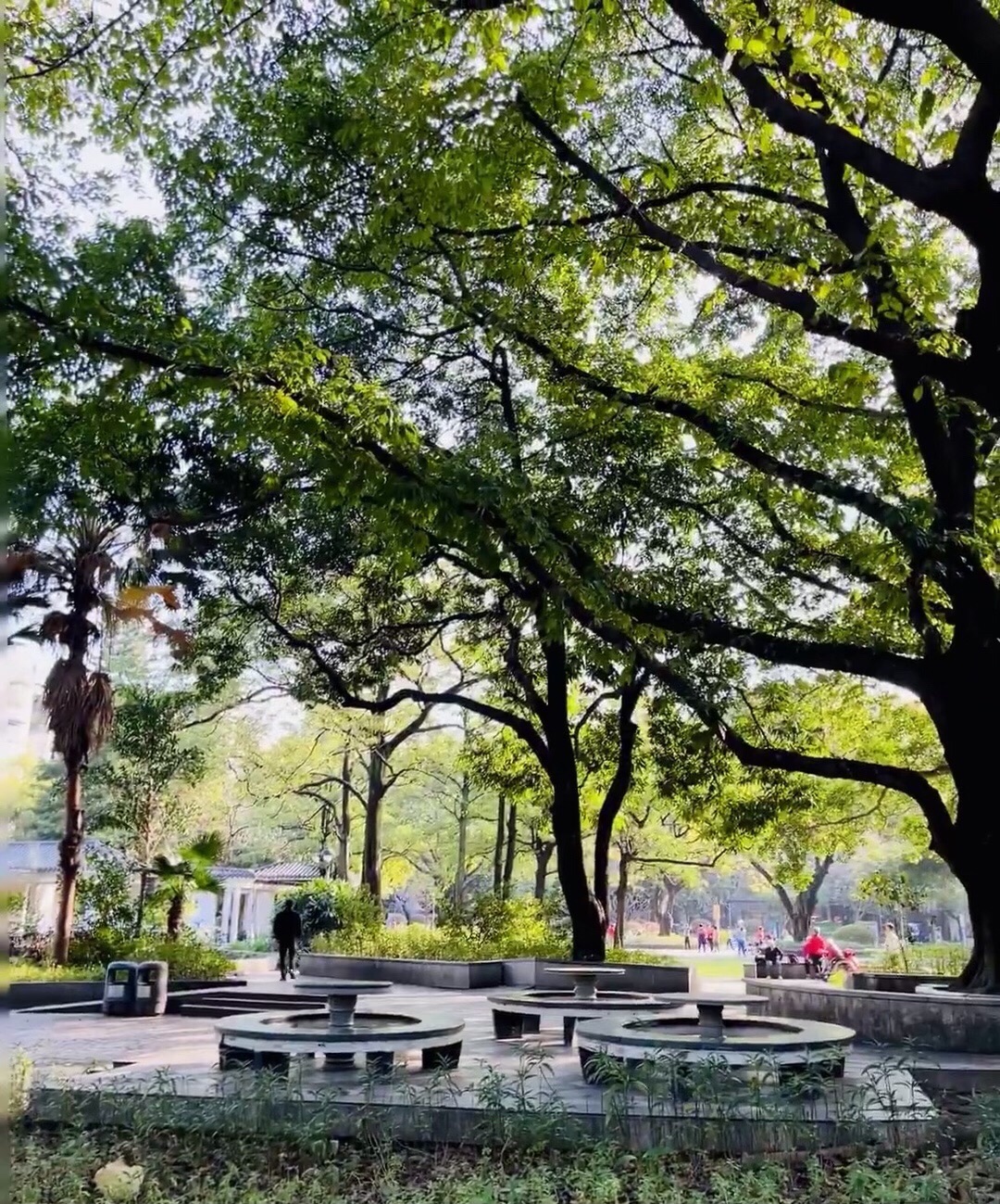 垂虹公园旅行图片 3