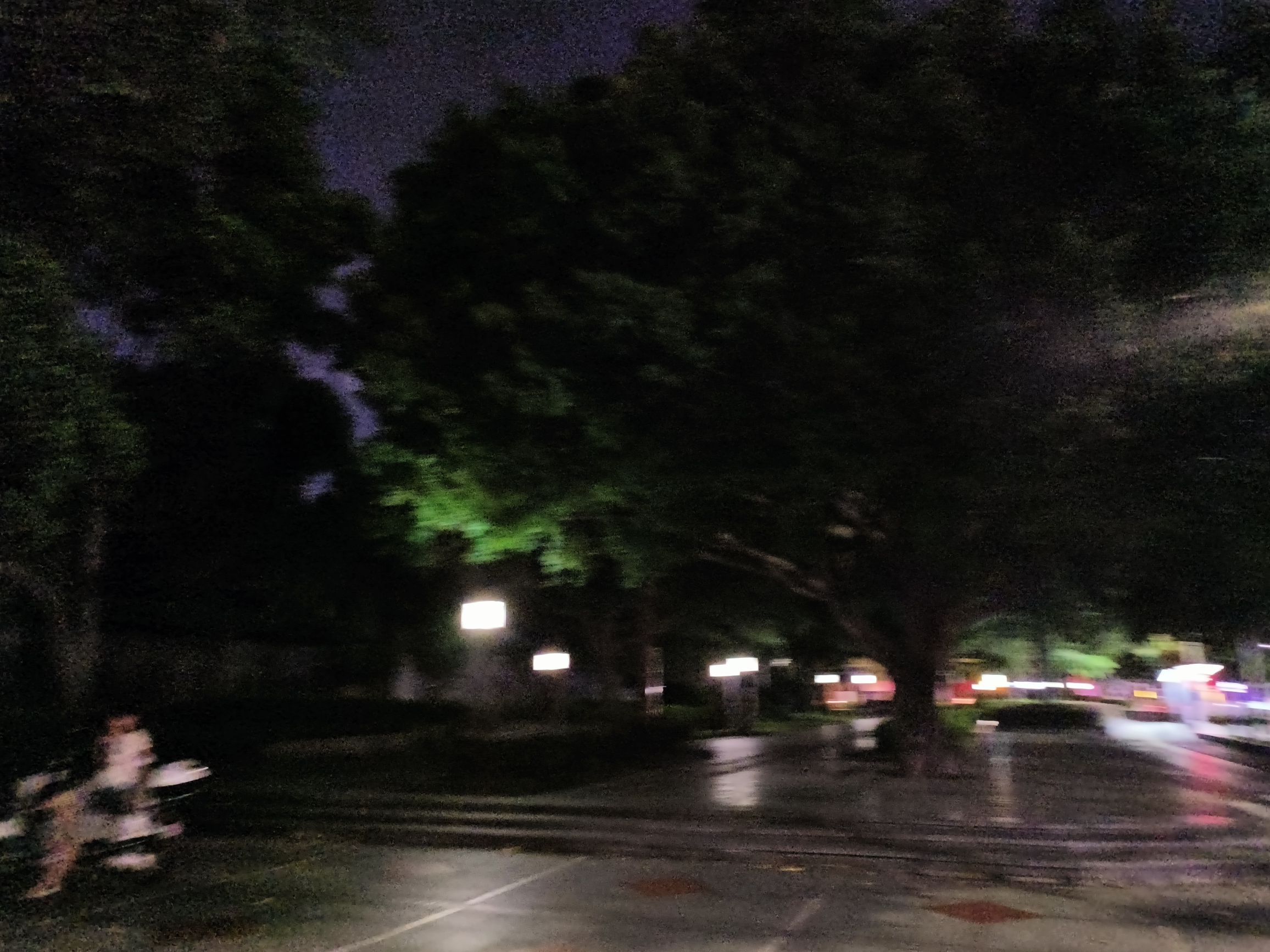兆祥公园旅行图片 2