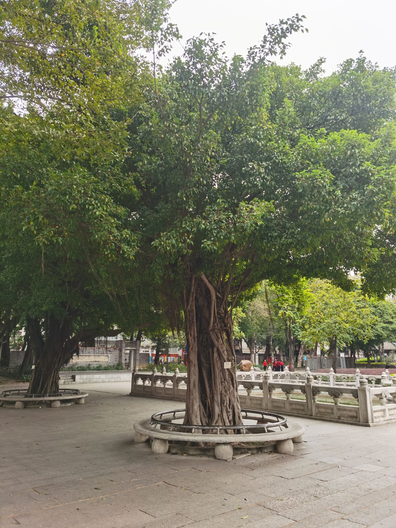 兆祥公园旅行图片 3
