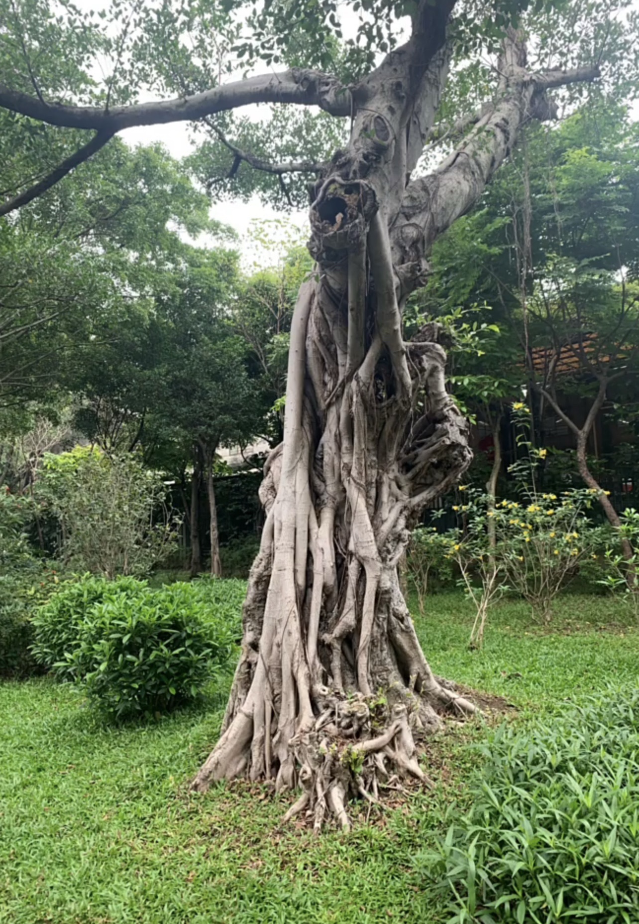 五峰公园旅行图片 3