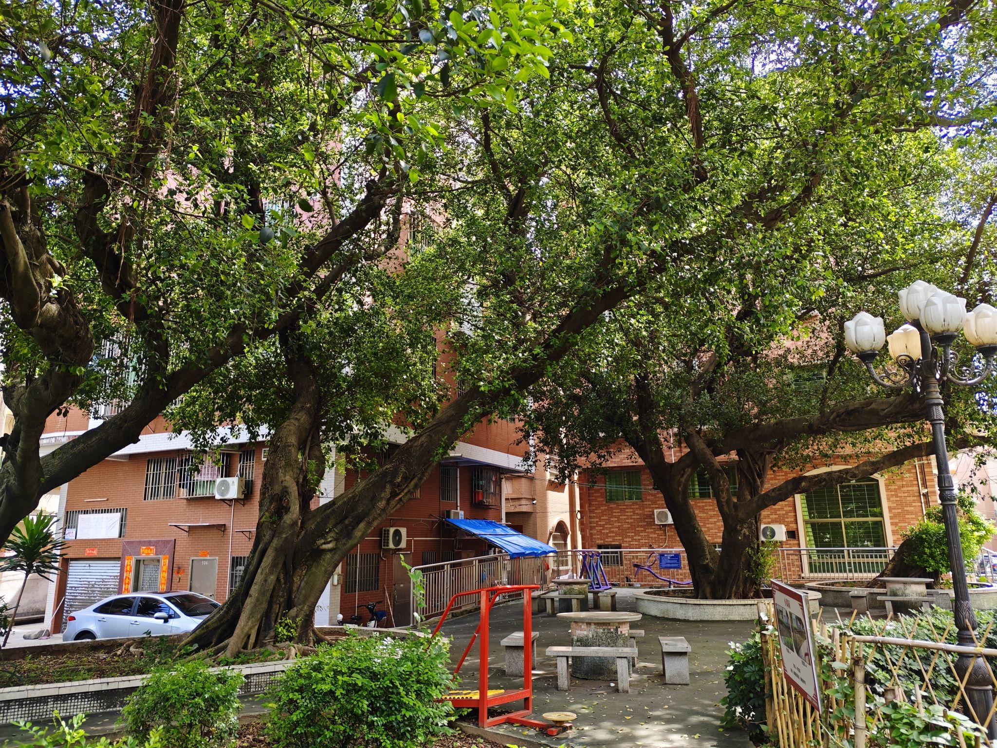 大操场公园旅行图片 3